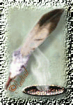 Smudge